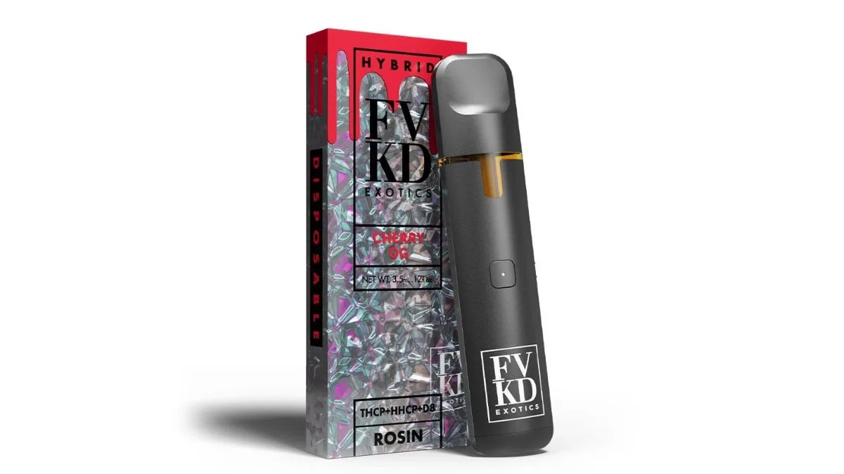 Disposable vs Rechargeable Vapes: Best Choice for Daily Use